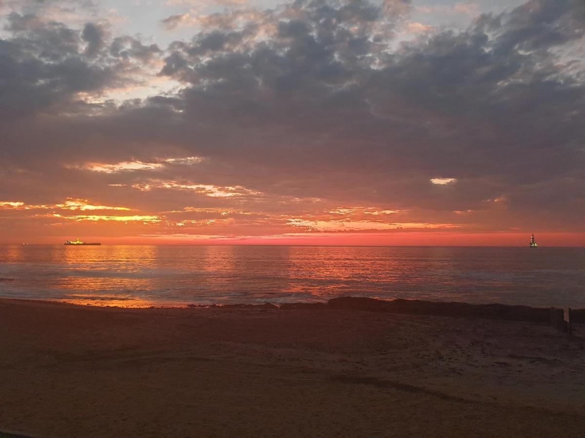 הוילה סווקופמונד Oceana View מראה חיצוני תמונה